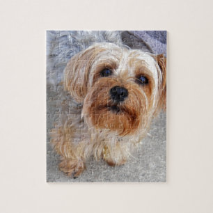Happy Yorkie Puppy Legpuzzel