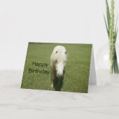 HappyBirthday Witte Pony Kaart (Voorkant)