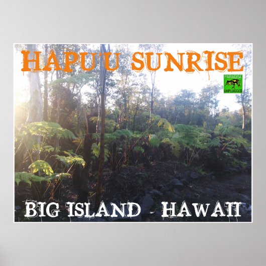 HAPU'U SUNRISE BIG ISLAND HAWAII POSTER (Voorkant)