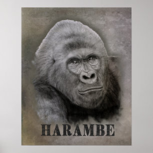 Harambe (Grafiettekening) Poster