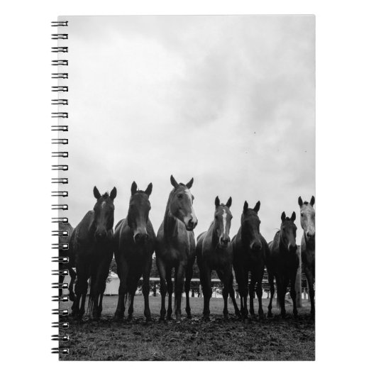HARAS LA POLACA NOTITIEBOEK (Voorkant)