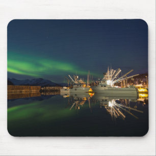 Harbor Aurora Muismat