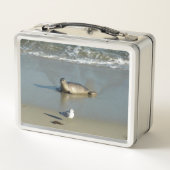 Harbor Seal at La Jolla California (Achterkant)