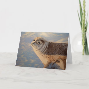 Harbor Seal P.E.I. Kaart