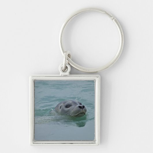 Harbor Seal zwemt in Jokulsarlon glacial Lake Sleutelhanger (Voorkant)