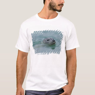 Harbor Seal zwemt in Jokulsarlon glacial Lake T-shirt