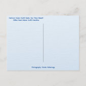 Harbor Town Yacht Basin Marina Hilton Head Island Briefkaart (Achterkant)