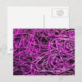 HARBOR VISSEN ROPE BRIEFKAART (Voorkant / Achterkant)