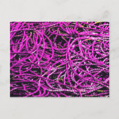 HARBOR VISSEN ROPE BRIEFKAART (Voorkant)