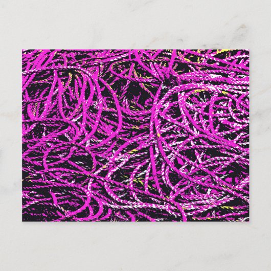 HARBOR VISSEN ROPE BRIEFKAART (Voorkant)