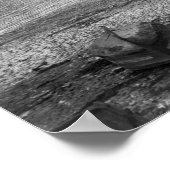 Harbour, Concarneau Poster (Hoek)