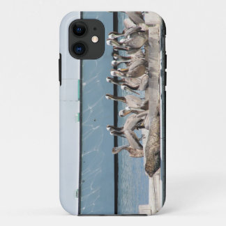 Harbour Friends Case-Mate iPhone Case