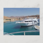 Harbour met jachten in de haven van Sharm el Sheik Briefkaart (Voorkant)