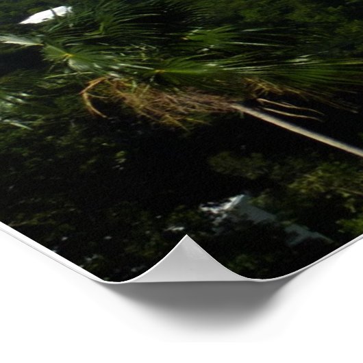 Harbour op de St. Thomas US Maagdeneilanden Poster (Hoek)