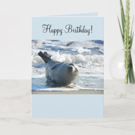 Harbour Seal Birthday Kaart (Voorkant)