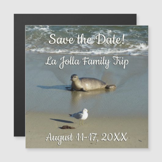 Harbour Seal in La Jolla California (Voorkant / Achterkant)