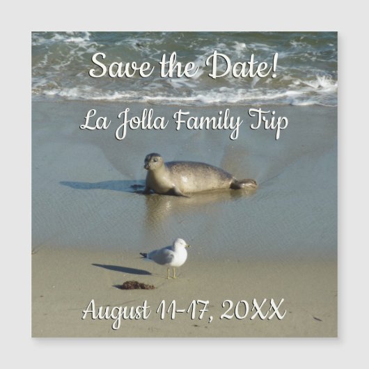 Harbour Seal in La Jolla California (Voorkant)