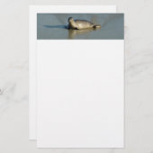 Harbour Seal in La Jolla California Briefpapier (Voorkant / Achterkant)
