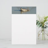 Harbour Seal in La Jolla California Briefpapier (Staand voorkant)