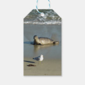 Harbour Seal in La Jolla California Cadeaulabel (Voorkant)