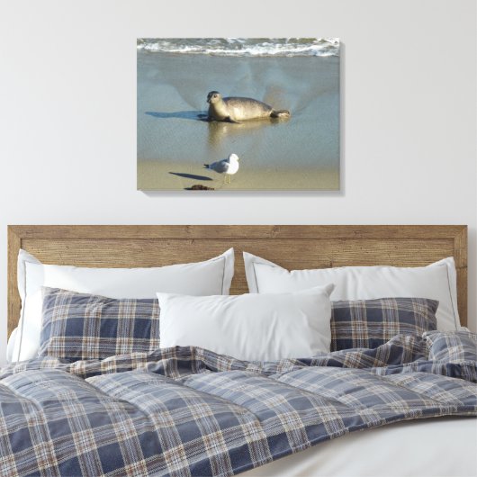 Harbour Seal in La Jolla California Canvas Afdruk (Insitu (Slaapkamer))