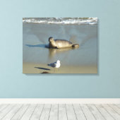 Harbour Seal in La Jolla California Canvas Afdruk (Insitu (Houten vloer))