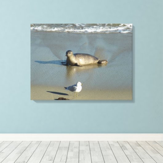 Harbour Seal in La Jolla California Canvas Afdruk (Insitu (Houten vloer))