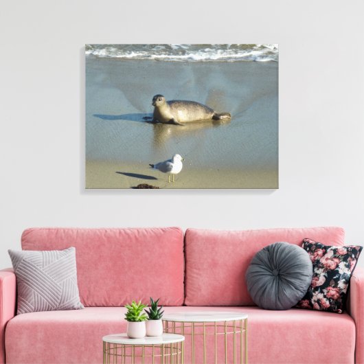 Harbour Seal in La Jolla California Canvas Afdruk (Insitu (Woonkamer))