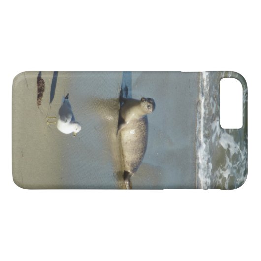 Harbour Seal in La Jolla California Case-Mate iPhone Case (Achterkant (Horizontaal))