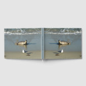 Harbour Seal in La Jolla California Gastenboek (Volledig)