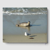Harbour Seal in La Jolla California Gastenboek (Achterkant)