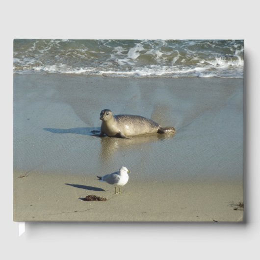 Harbour Seal in La Jolla California Gastenboek (Voorkant)