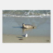 Harbour Seal in La Jolla California Inpakpapier Vel (Voorkant 2)