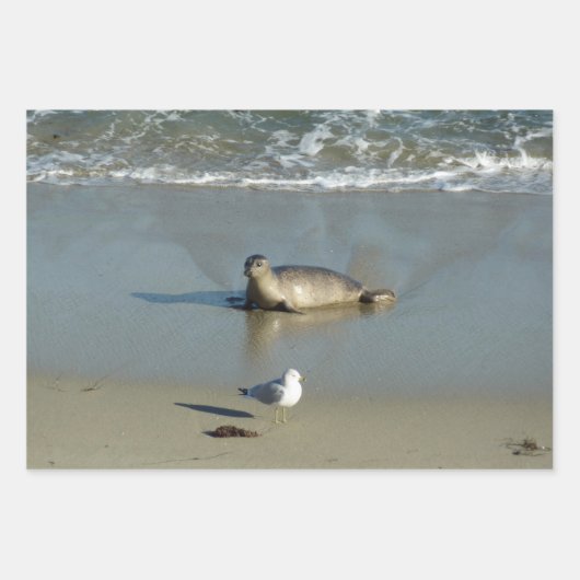 Harbour Seal in La Jolla California Inpakpapier Vel (Voorkant 2)