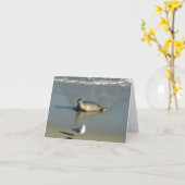 Harbour Seal in La Jolla California Kaart (Gele Bloem)