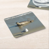 Harbour Seal in La Jolla California Kartonnen Onderzetters (Schuin)