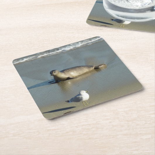 Harbour Seal in La Jolla California Kartonnen Onderzetters