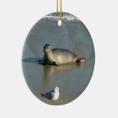 Harbour Seal in La Jolla California Keramisch Ornament (Rechts)