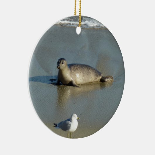 Harbour Seal in La Jolla California Keramisch Ornament (Rechts)