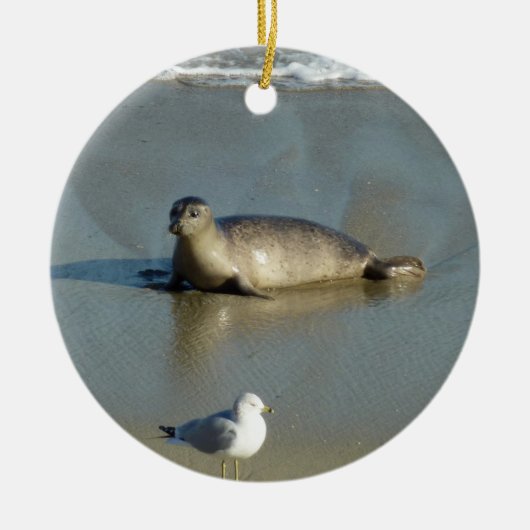 Harbour Seal in La Jolla California Keramisch Ornament (Voorkant)