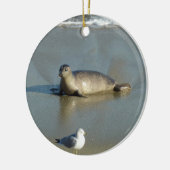 Harbour Seal in La Jolla California Keramisch Ornament (Links)