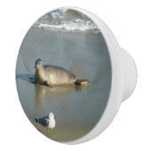 Harbour Seal in La Jolla California Keramische Knop (Rechts)