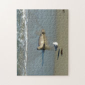 Harbour Seal in La Jolla California Legpuzzel (Verticaal)