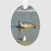 Harbour Seal in La Jolla California Ornament (voorkant)