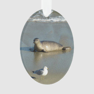 Harbour Seal in La Jolla California Ornament
