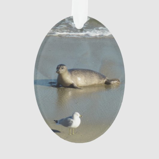 Harbour Seal in La Jolla California Ornament (achterkant)