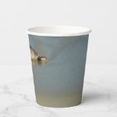 Harbour Seal in La Jolla California Papieren Bekers (Achterkant)