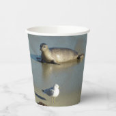 Harbour Seal in La Jolla California Papieren Bekers (Links)