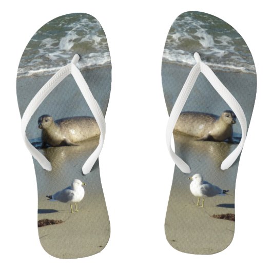 Harbour Seal in La Jolla California Teenslippers (Voetbed)