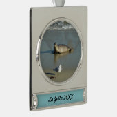 Harbour Seal in La Jolla California Verzilverd Banner Ornament (Rechts)